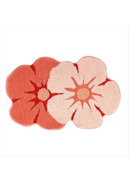 Sevimli Banyo Halı Banyo Paspasları Süper Emici Yumuşak Mikrofiber Slip Olmayan Banyo Pasası Giriş Kapısı Mat Tuvalet Küvet Halı C (Yurt Dışından)