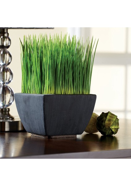 Sert Yüzeyler (1/2 Inç x 60 Inç) Kahverengi Için 2x Kendi Kendine Yapışan Ağır Hizmet Keçe Şeridi Rulosu (Yurt Dışından) fiyatları