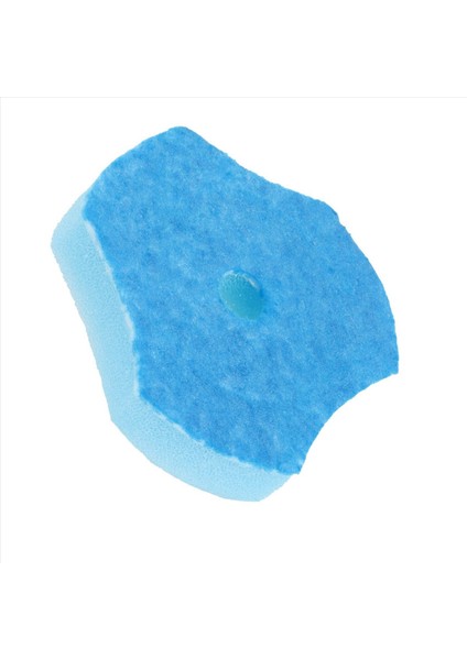 100PCS Tuvalet Çubuğu Değiştirme Tuvalet Temizleyici Yedek Tek Kullanımlık Tuvalet Fırçası Kafa Tuvalet Fırçası Clorox Için (Yurt Dışından) modelleri