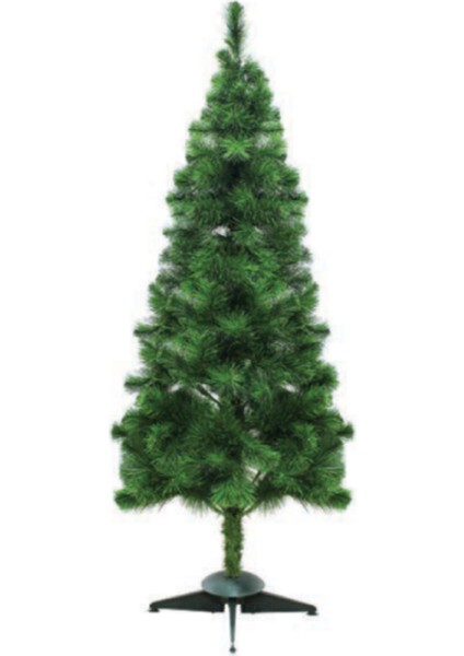 Yılbaşı Ağacı 150 cm 240 Dal Yerli Üretim Iskoç Çam Yılbaşı Ağacı