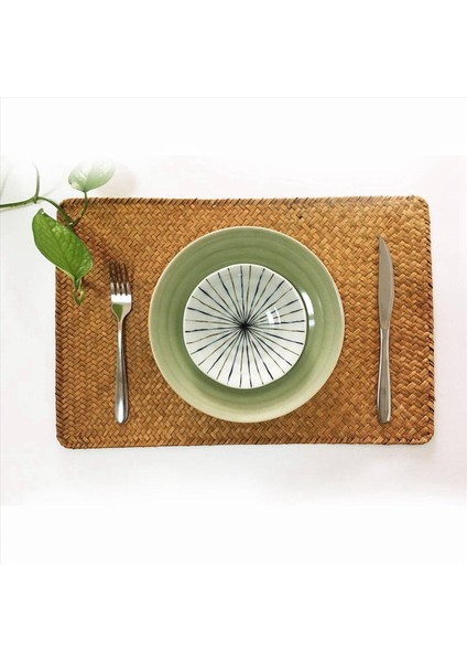 Paket 12 Doğal Seagrass Place Mathand Dokunma Dikdörtgen Rattan Placemats Saman Çay Kupası Mat Potholder (Yurt Dışından) fırsatları
