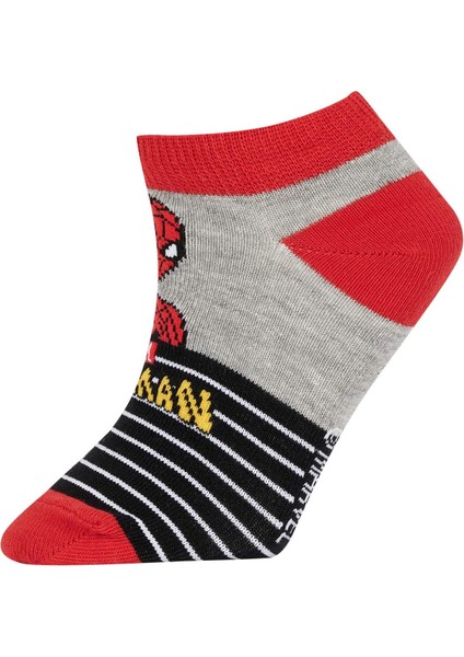 Erkek Çocuk Marvel Spiderman 3'lü Pamuklu Patik Çorap