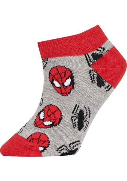 Erkek Çocuk Marvel Spiderman 3'lü Pamuklu Patik Çorap