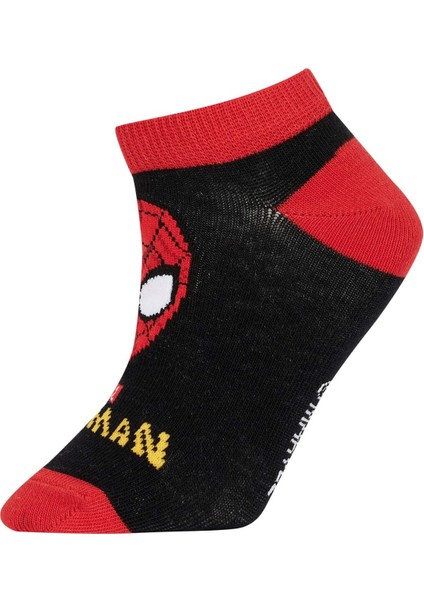 Erkek Çocuk Marvel Spiderman 3'lü Pamuklu Patik Çorap