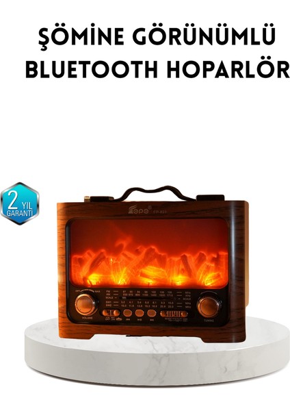 Yzlal Şömine Efektli Solar Hoparlör Bluetooth 5.3 Radyo Aux USB Tf Destekli