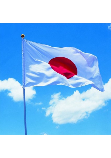 2x Bayrak Japonya Japon Polyester Açık Bayrak Tebrikler 90 x 150 cm (Yurt Dışından) indirimleri