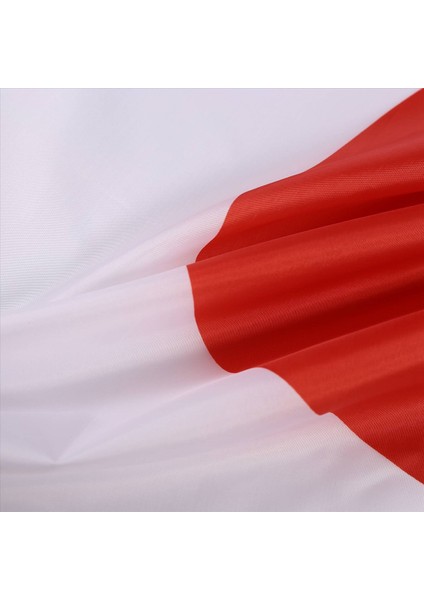 Japon Japonca Polyester Açık Hava Bayrağı Tebrikler 90 x 150 cm (Yurt Dışından) fiyatları