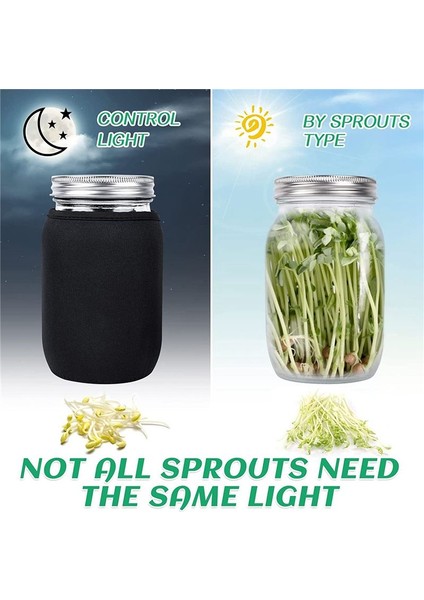 Tohum Filizleme Kavanoz Kiti 2 Geniş Ağız Kavanozu Bean Fasulye Fasulyesi Büyüyen Kit Büyüyen Kavanozlu Kafes Ekran Kapakları (Yurt Dışından) fiyatları