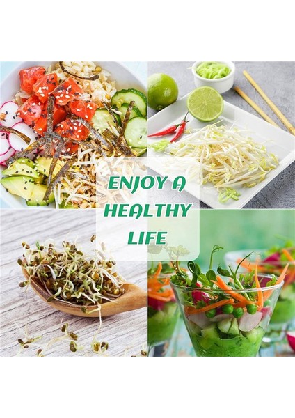 Tohum Filizleme Kavanoz Kiti 2 Geniş Ağız Kavanozu Bean Fasulye Fasulyesi Büyüyen Kit Büyüyen Kavanozlu Kafes Ekran Kapakları (Yurt Dışından) fırsatları