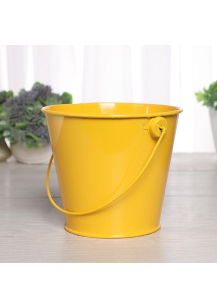 Saplı Küçük Metal Kova Partys Dekorasyonu Için Plaj Oyuncakları Mini Kova Sınıf Masaüstü Depolama Kovası 8pcs B (Yurt Dışından) indirimleri