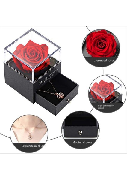 Korunmuş Kırmızı Güller ile Seni Seviyorum 100 Dillerde Kadın Karısı Için Doğum Günü Leri Pembe Için Gül Çiçek Leri (Yurt Dışından) fırsatları