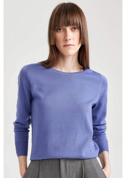 Regular Fit Bisiklet Yaka Yumuşak Dokulu Basic Düz Triko Kazak F7091AZ23WN