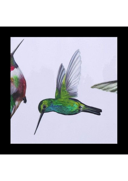 2x 8 Büyük Güzel Uğultu Kuşu Statik Yapışkan Pencere Çıkartmaları Sinek Kuşu Anti -Çarpışma Kuş Çarpması Pencere Çıkartmaları (Yurt Dışından) modelleri