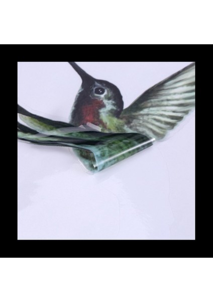 2x 8 Büyük Güzel Uğultu Kuşu Statik Yapışkan Pencere Çıkartmaları Sinek Kuşu Anti -Çarpışma Kuş Çarpması Pencere Çıkartmaları (Yurt Dışından) indirimleri