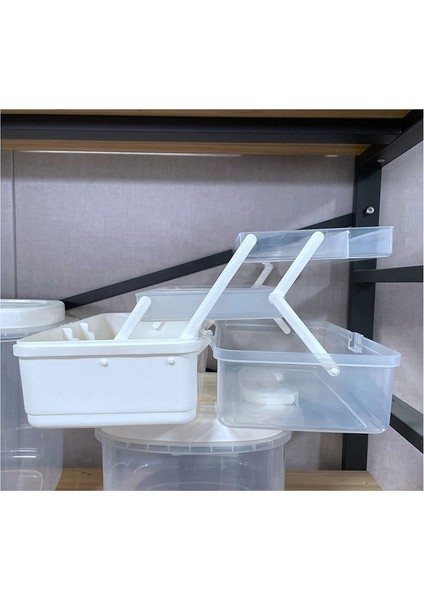 Zanaat Saklama Kutusu Organizatörü 3 Teriyer Fishing Tackle Kutusu Organizatör Dikiş Kutusu Çivi Sanat Organizatörü Toad Araç Kutusu (Yurt Dışından) fiyatları