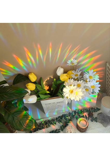 Pencere Çıkartmaları Gökkuşağı Pencere Çıkartmaları Güneş Koruma Pencere Çıkartmaları Kuş Önleme Pencere Çıkartmaları B (Yurt Dışından) fırsatları