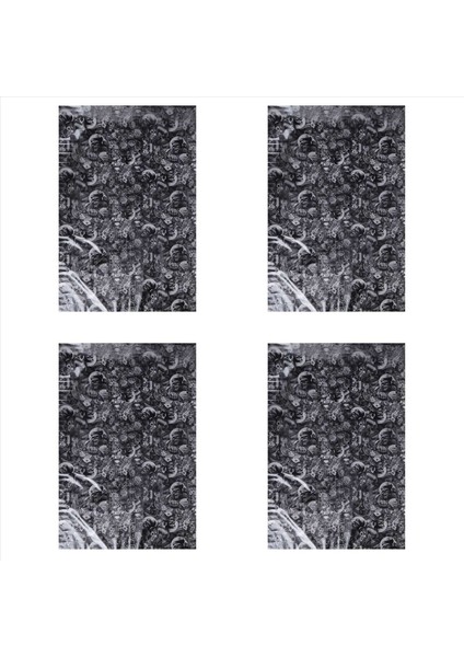 4x Hidrografik Film - Su Transferi Baskı - Hidro Daldırma - Yuvarlanma - 1 Metre (Yurt Dışından)