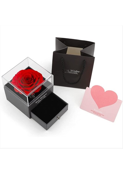 Korunmuş Kırmızı Güller ile Seni Seviyorum 100 Dillerde Kadın Karısı Için Doğum Günü Leri Kırmızı Için Gül Çiçek Leri (Yurt Dışından)