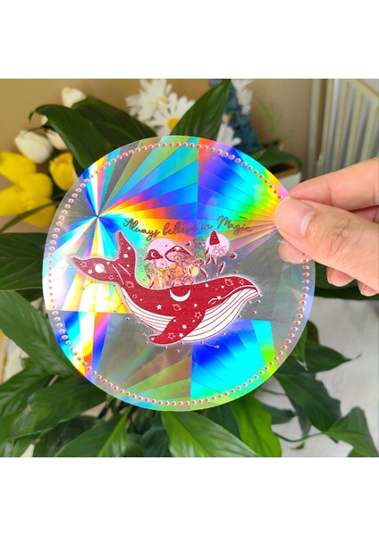 Pencere Çıkartmaları Gökkuşağı Pencere Çıkartmaları Güneş Koruma Pencere Çıkartmaları Kuş Önleme Pencere Çıkartmaları C (Yurt Dışından) modelleri