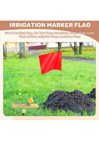 50 Paket Işaretleme Bayrakları Kırmızı Avlu Bayrakları 15X4X5INCH Işaret Bayrakları Çim Bayrakları Işaretleri Sulama Bayrakları Peyzaj Bayrakları (Yurt Dışından) fırsatları