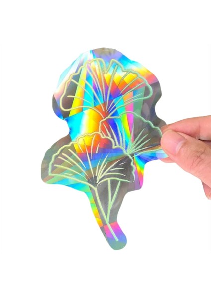 Pencere Çıkartmaları Gökkuşağı Pencere Çıkartmaları Güneş Koruma Pencere Çıkartmaları Kuş Önleme Pencere Çıkartmaları (Yurt Dışından)