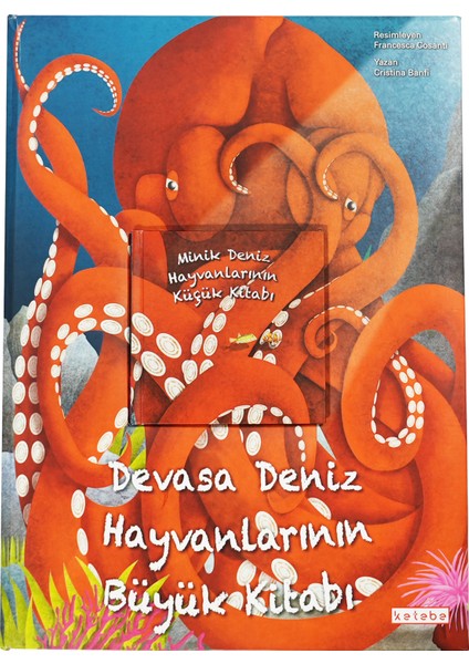 Devasa Deniz Hayvanlarının Büyük Kitabı: Minik Deniz Hayvanlarının Küçük Kitabı (Ciltli) - Cristina Banfi