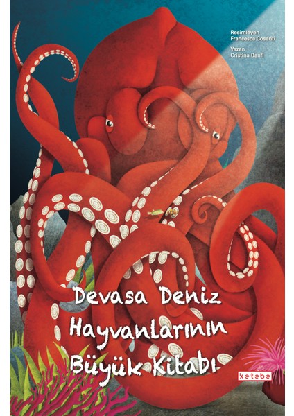 Devasa Deniz Hayvanlarının Büyük Kitabı: Minik Deniz Hayvanlarının Küçük Kitabı (Ciltli) - Cristina Banfi fiyatları