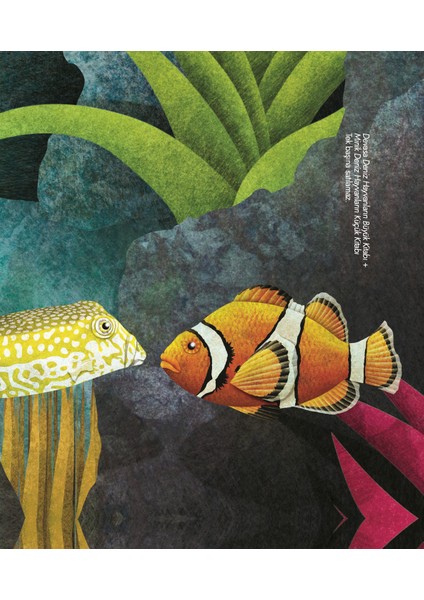 Devasa Deniz Hayvanlarının Büyük Kitabı: Minik Deniz Hayvanlarının Küçük Kitabı (Ciltli) - Cristina Banfi indirimleri