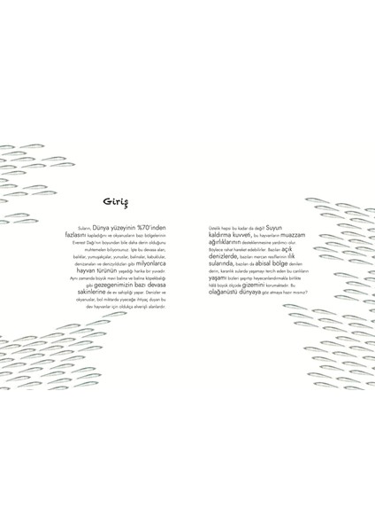 Devasa Deniz Hayvanlarının Büyük Kitabı: Minik Deniz Hayvanlarının Küçük Kitabı (Ciltli) - Cristina Banfi