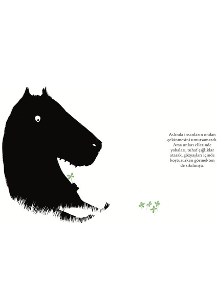 Kocaman Kalpli Huysuz Graou - Ingrid Chabbert