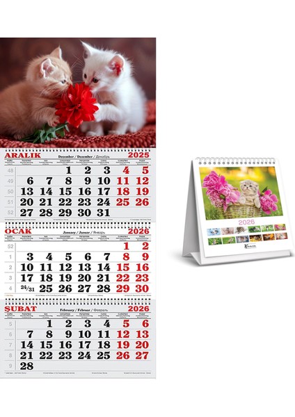 2026 Yılı Gemici Takvimi ve Masa Takvimi-Kediler