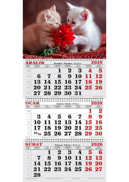 2026 Yılı Gemici Takvimi ve Masa Takvimi-Kediler fiyatları