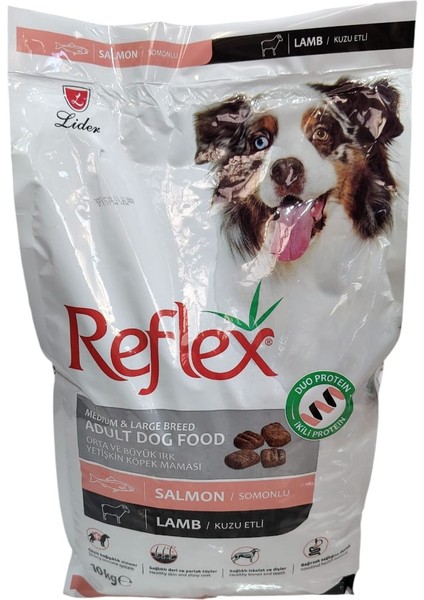 Duo Proteinli Somonlu ve Kuzu Etli Orta ve Büyük Irk Yetişkin Köpek Maması 10 kg fiyatları