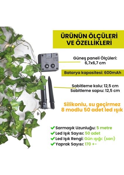 Hilal Yıldız 120 LED Iç ve Dış Mekan 3X1M Dekoratif Aydınlatma