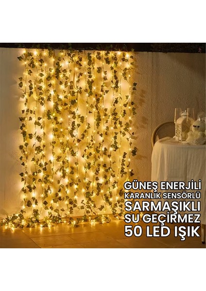 Hilal Yıldız 120 LED Iç ve Dış Mekan 3X1M Dekoratif Aydınlatma