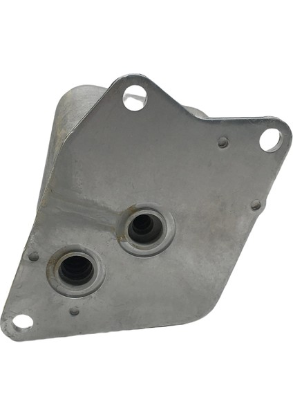 31492805 Volvo XC60 Mk2 V90 S90 2021 Şanzıman Yağı Soğutucusu - Araç Yağı Radyatör Soğutucusu (Yurt Dışından) indirimleri