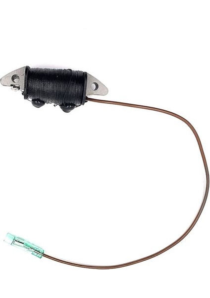 6H3-85520-00 Yamaha Dıştan Takma Için Şarj Bobini 2 Strok 50HP 60HP 70HP 2t Parsun Powertec Seatec Hdx Outboard Motor (Yurt Dışından) fiyatları