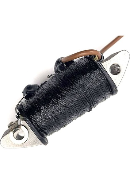 6H3-85520-00 Yamaha Dıştan Takma Için Şarj Bobini 2 Strok 50HP 60HP 70HP 2t Parsun Powertec Seatec Hdx Outboard Motor (Yurt Dışından) fırsatları