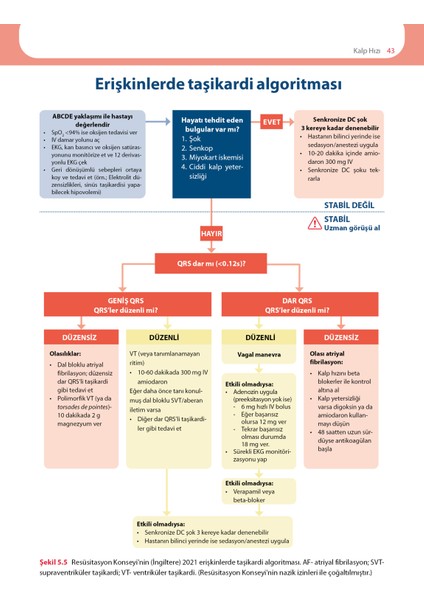 Ekg'yi Anlamak (Uygulamalı Kılavuz) modelleri