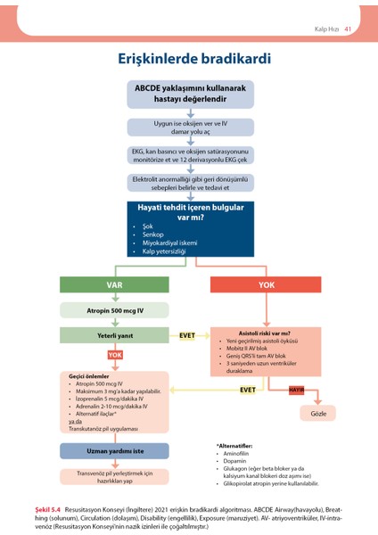 Ekg'yi Anlamak (Uygulamalı Kılavuz) fırsatları