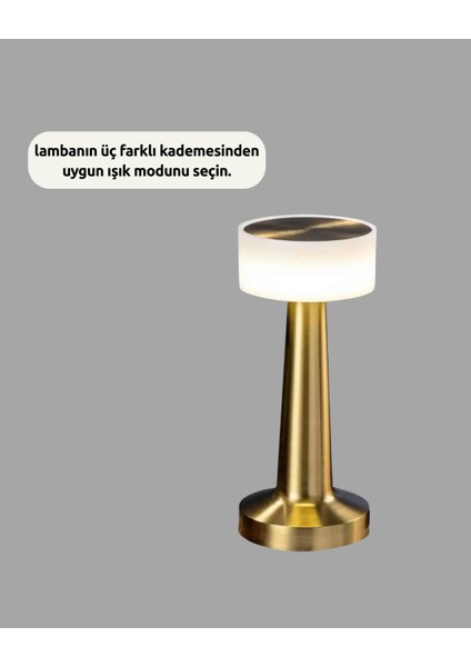 Techmrt Kablosuz Dokunmatik Masa Lambası – Şık Modern Metal Gövde, USB Şarjlı fırsatları