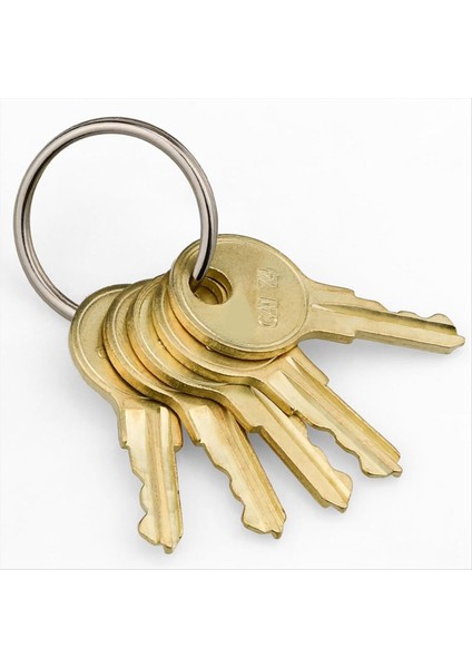 Bobrick Gamco B-263 Soov Cat 74 Dispenser Için 10 Paket CAT74 Havlu Dağıtıcı Anahtar (Yurt Dışından) fırsatları