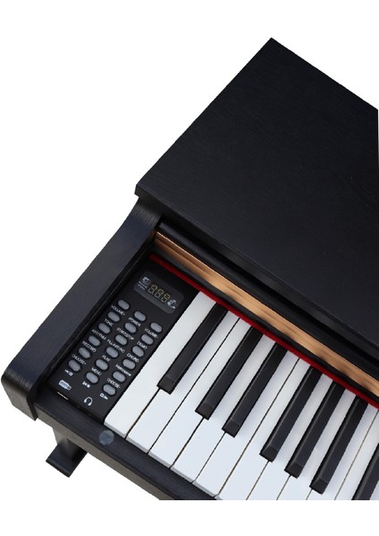 Jwin Sapphire SDP-216 Çekiç Aksiyonlu 88 Tuşlu Dijital Piyano - Siyah