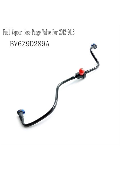 BV6Z9D289A Ford Focus Için Yakıt Buharı Hortum Temizleme Valfi 2 0l Turbo Olmayan 2012-2018 Egzoz Gaz Yol Devrili Valfı (Yurt Dışından) fiyatları