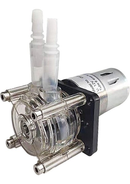 500ML/DAK Asansör = 5m G928 Akış Peristaltik Pompa Kolay Periistaltik Pompa Ölçüm Pompası Vakum Pompası Düz Tip 24V (Yurt Dışından)