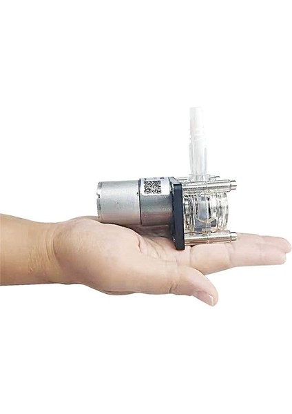 500ML/DAK Asansör = 5m G928 Akış Peristaltik Pompa Kolay Periistaltik Pompa Ölçüm Pompası Vakum Pompası Düz Tip 12V (Yurt Dışından) fırsatları