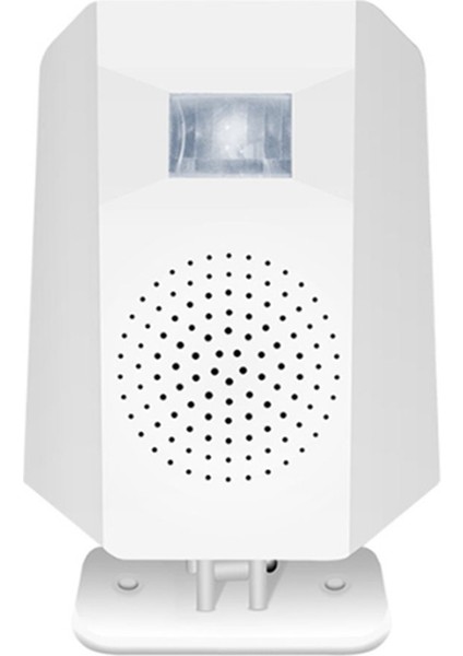 Dc 5V Ayakta Dönebilen Kızılötesi Hareket Sensörü Alarm Sesi Ayarlanabilir Pır Ses Çalar Ab Fişi (Yurt Dışından)