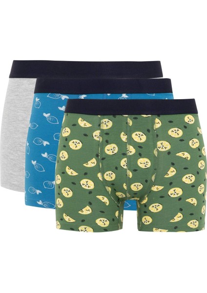 Regular Fit 3'lü Boxer