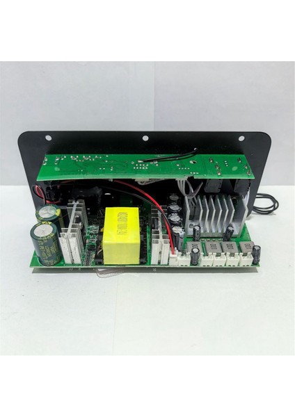 2 Kanal Stereo Dijital Bluetooth Amplifikatör Kurulu Çift Mikrofon Karaoke Amp Hoparlör Ev Sineması Araba Dıy Ab Fiş (Yurt Dışından) indirimleri