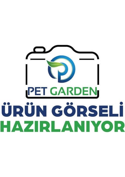 Lp 20 Motor Bobini fırsatları